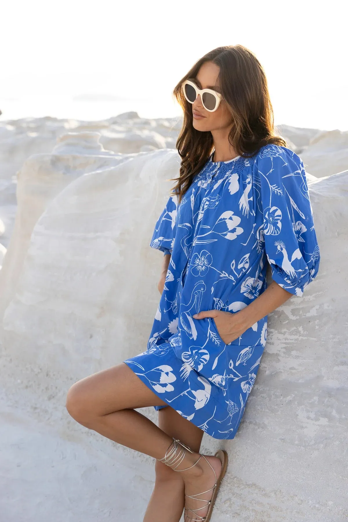 Audubon Blue Embroidered Button Mini Dress