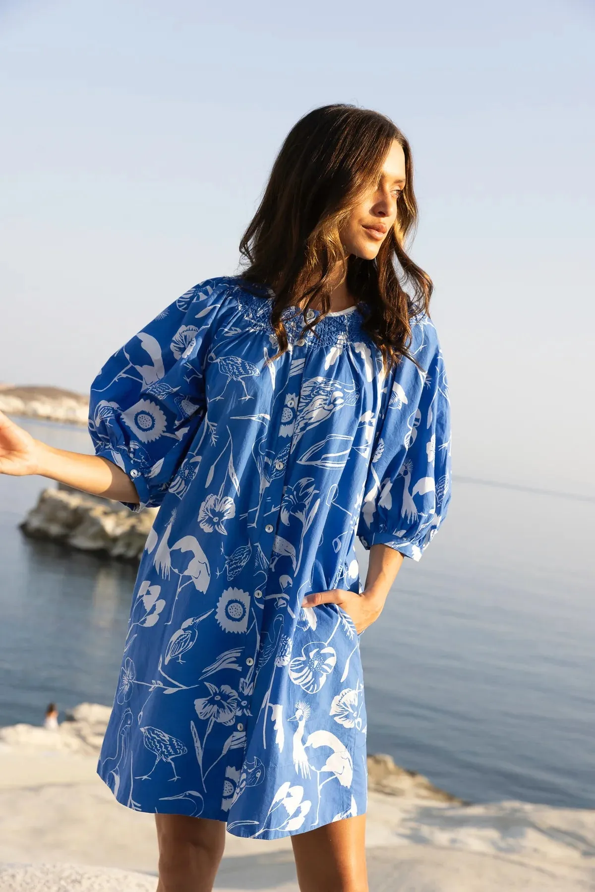 Audubon Blue Embroidered Button Mini Dress